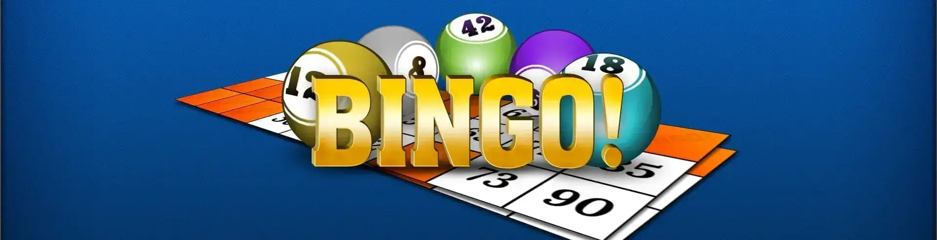 EU9 - bingo banner